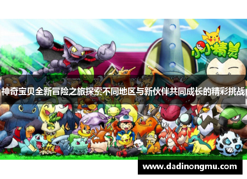 神奇宝贝全新冒险之旅探索不同地区与新伙伴共同成长的精彩挑战
