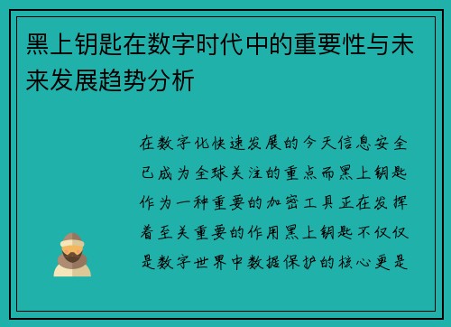 黑上钥匙在数字时代中的重要性与未来发展趋势分析 黑上钥匙在数字时代中的重要性与未来发展趋势分析
